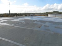 Roof Primer