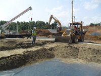 Sand Bedding