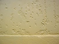 PRIMED SURFACE OF VERY OLD PITTED INTERNAL SHELL